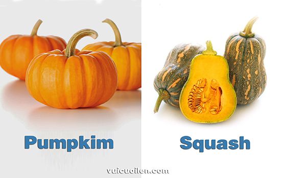 Pumpkin và Squash