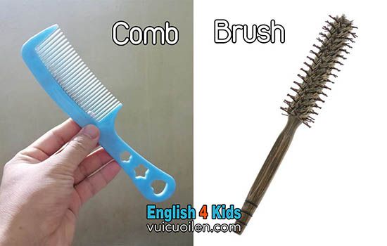 Sự khác nhau giữa comb và brush