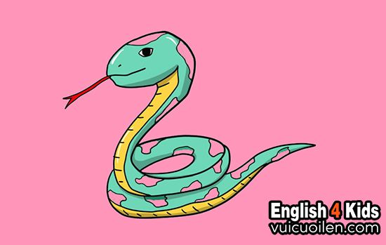 Con rắn tiếng anh là gì