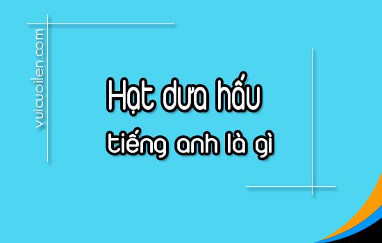 Hạt dưa hấu tiếng anh là gì