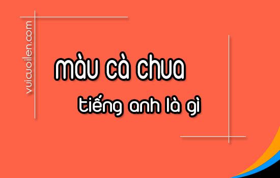 Màu cà chua tiếng anh là gì