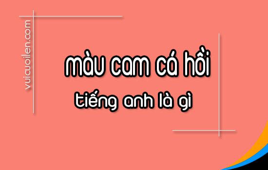 Màu cam cá hồi tiếng anh là gì