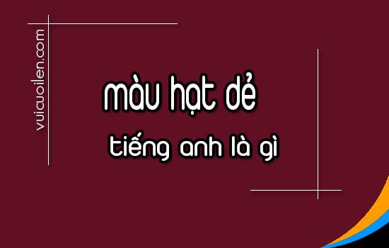 Màu hạt dẻ tiếng anh là gì