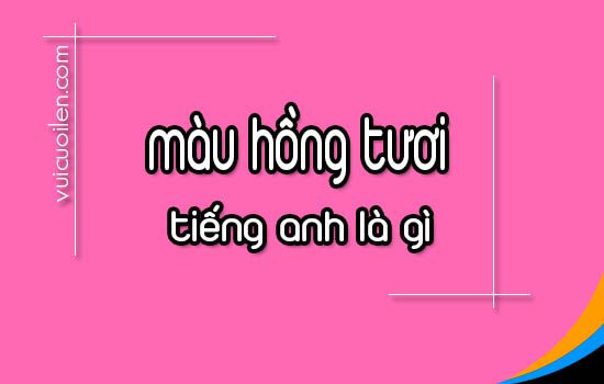 Màu hồng tươi tiếng anh là gì