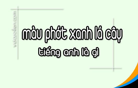 Màu phớt xanh lá cây tiếng anh là gì