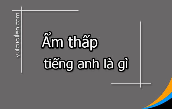 Ẩm thấp tiếng anh là gì