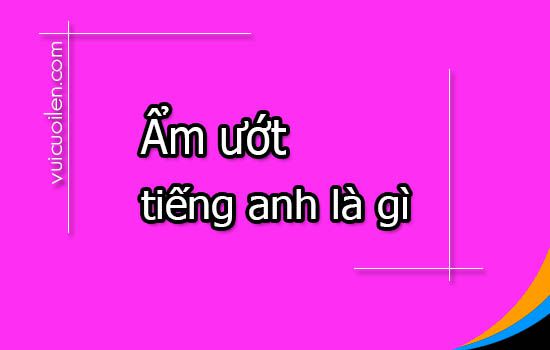 Ẩm ướt tiếng anh là gì