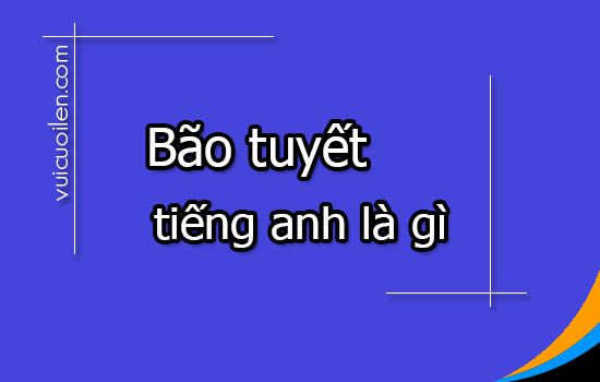 Bão tuyết tiếng anh là gì