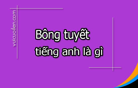 Bông tuyết tiếng anh là gì