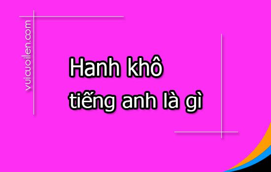 Hanh khô tiếng anh là gì