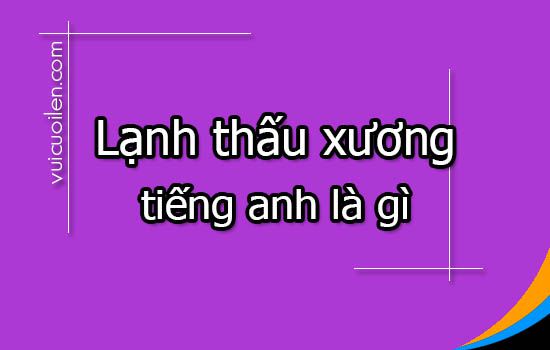 Lạnh thấu xương tiếng anh là gì