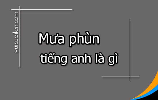 Mưa phùn tiếng anh là gì