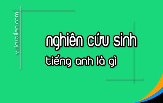 Nghiên cứu sinh tiếng anh là gì