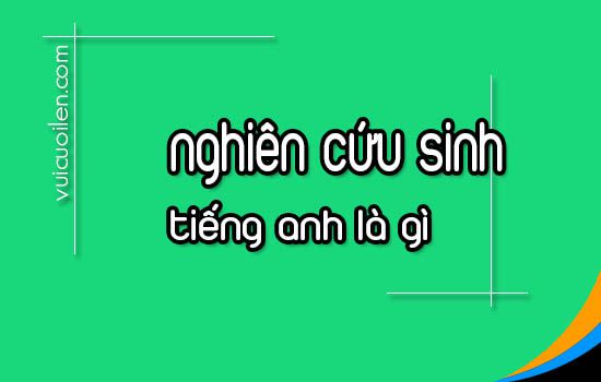 Nghiên cứu sinh tiếng anh là gì và đọc như thế nào cho đúng