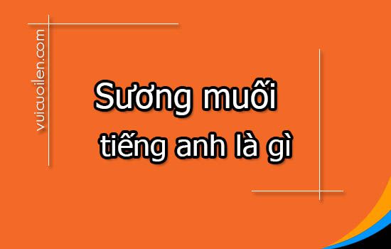 Sương muối tiếng anh là gì
