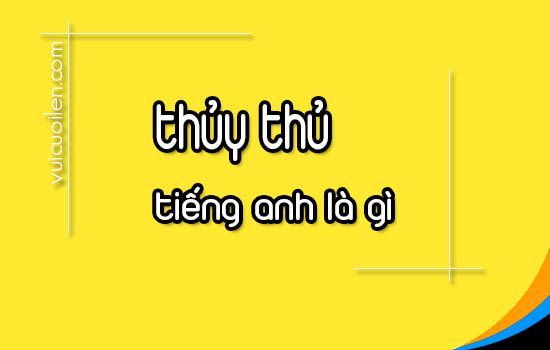Thủy thủ tiếng anh là gì
