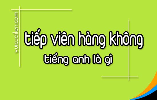 Tiếp viên hàng không tiếng anh là gì