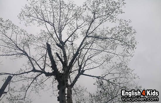 Trời nhiều gió tiếng anh là gì