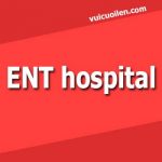 Bệnh viện tai mũi họng tiếng anh là gì