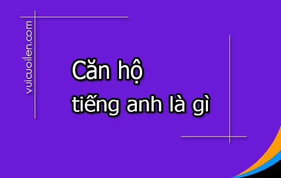 Căn hộ tiếng anh là gì