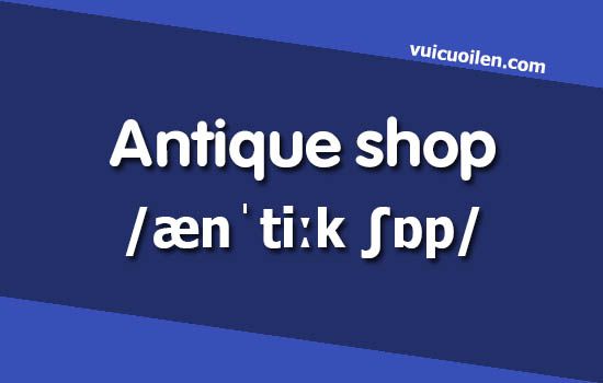Cửa hàng đồ cổ tiếng anh là gì