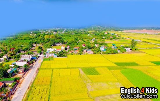 Nông thôn tiếng anh là gì