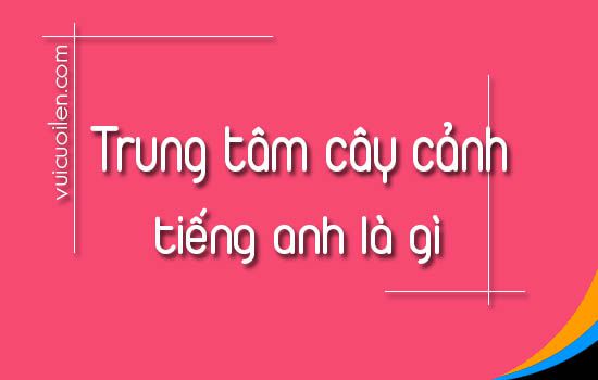 Cửa hàng cây cảnh tiếng anh là gì