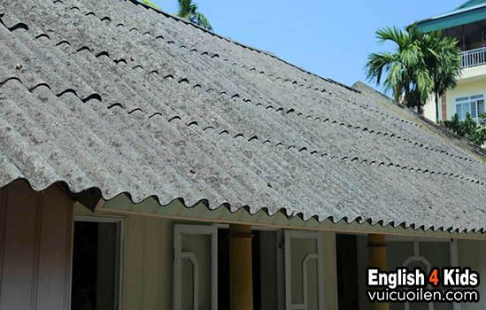 A-mi-ăng tiếng anh là gì