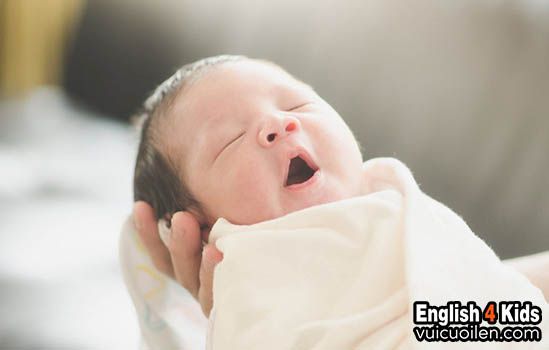 Em bé tiếng anh là gì