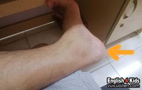 Gót chân tiếng anh là gì