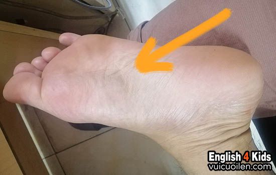 Lòng bàn chân tiếng anh là gì