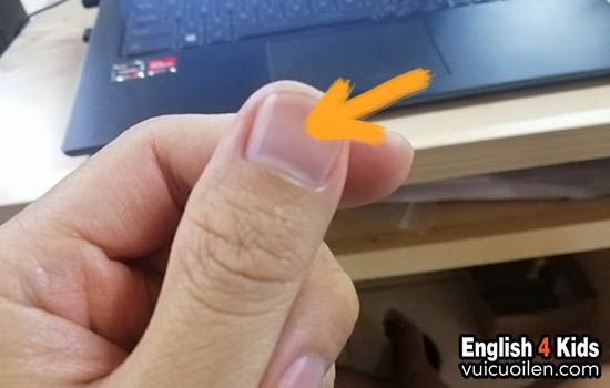 Móng tay móng chân tiếng anh là gì