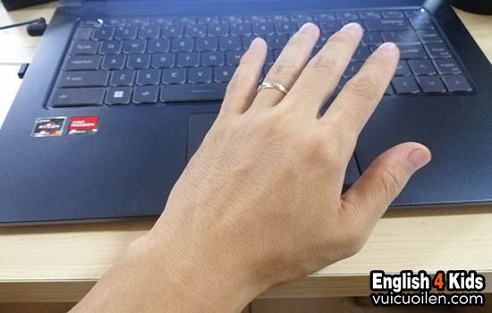 Mu bàn tay tiếng anh là gì