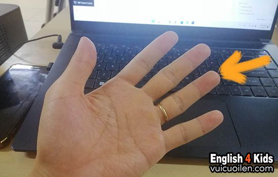 Ngón áp út tiếng anh là gì