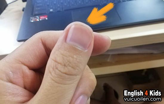 Ngón tay tiếng anh là gì