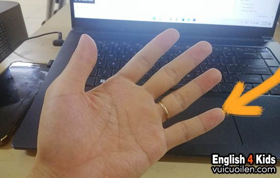 Ngón út tiếng anh là gì