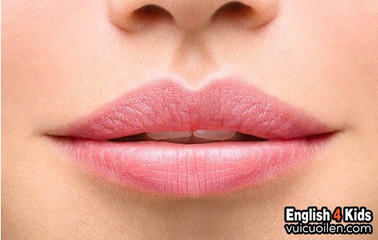 Miệng rộng tiếng anh là gì