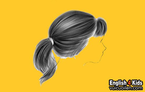 Tóc đuôi ngựa tiếng anh là gì