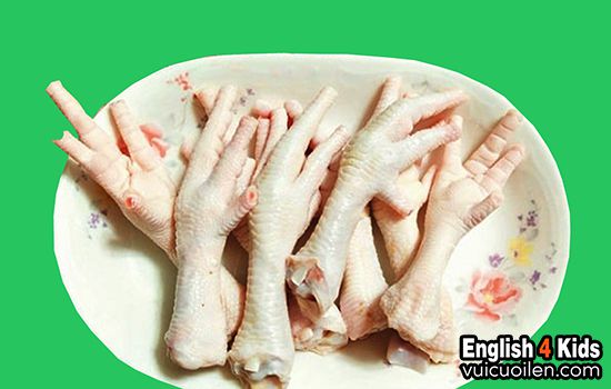 Chân gà tiếng anh là gì