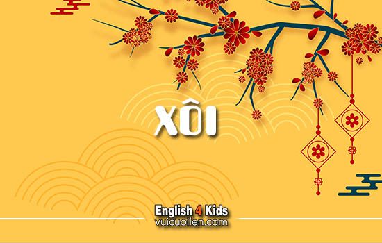 Xôi tiếng anh là gì