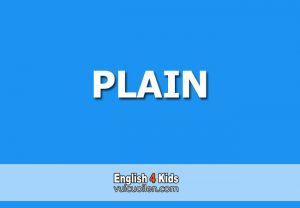 Plain tiếng anh là gì