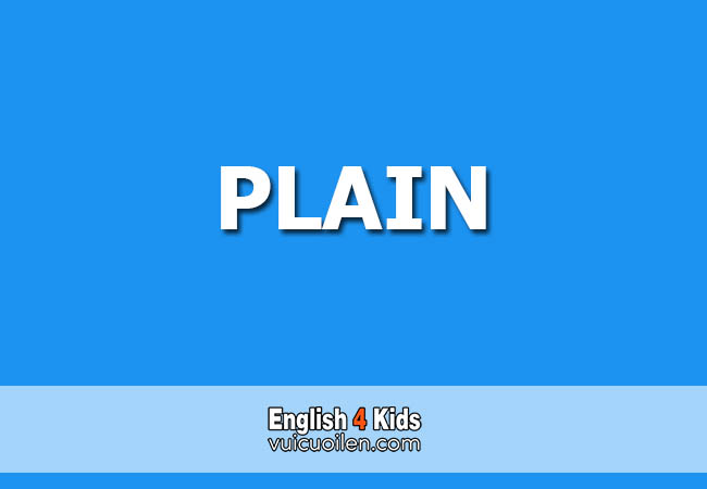Plain tiếng anh là gì