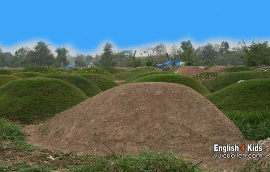 Hillock tiếng anh là gì