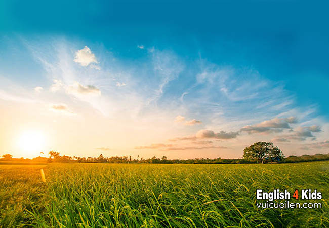 Rộng lớn tiếng anh là gì